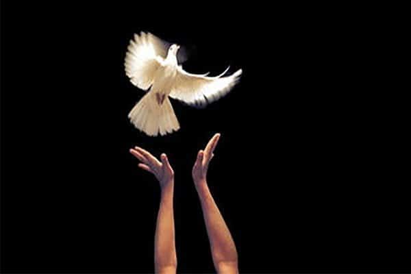 عدول از گذشت - گذشت شاکی